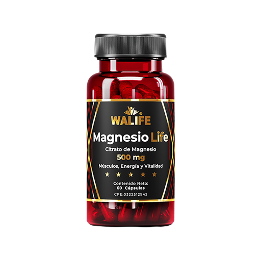 Magnesio Life 500 Mg X 60 Cap Walife