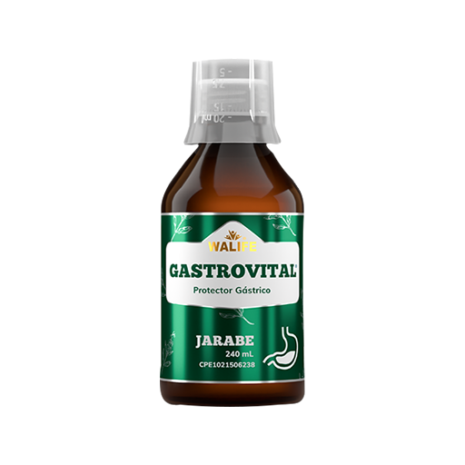 Gastrovital Jbe X 240 Ml Walife