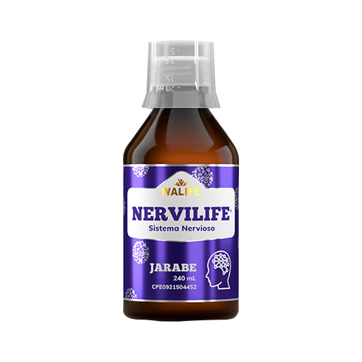 Nervilife Jbe X 240 Ml Walife